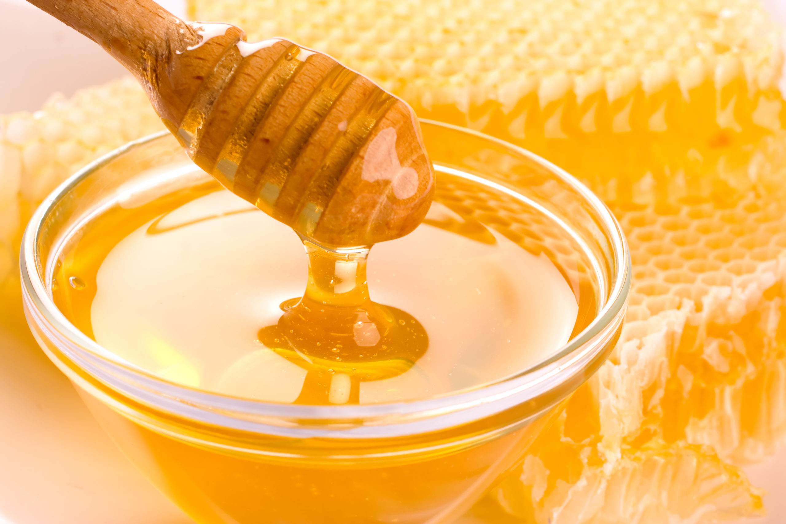 bigstock-Fresh-honey-31777532